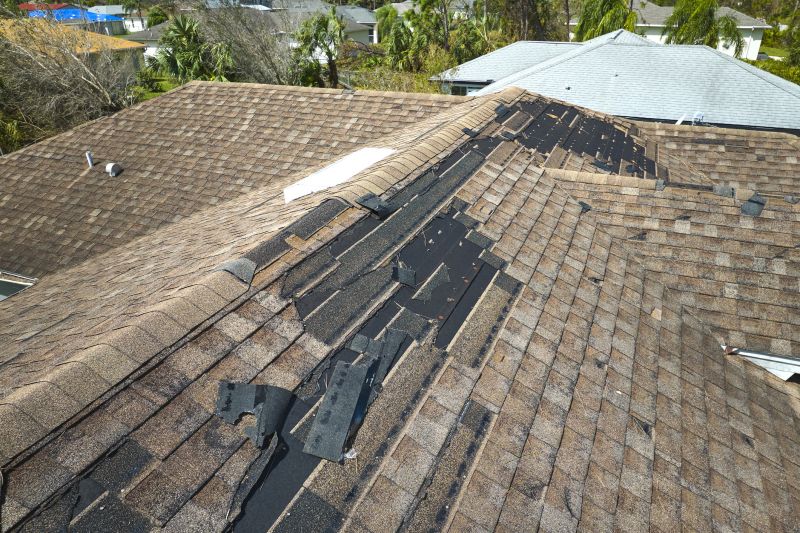 Asphalt Roof Repair