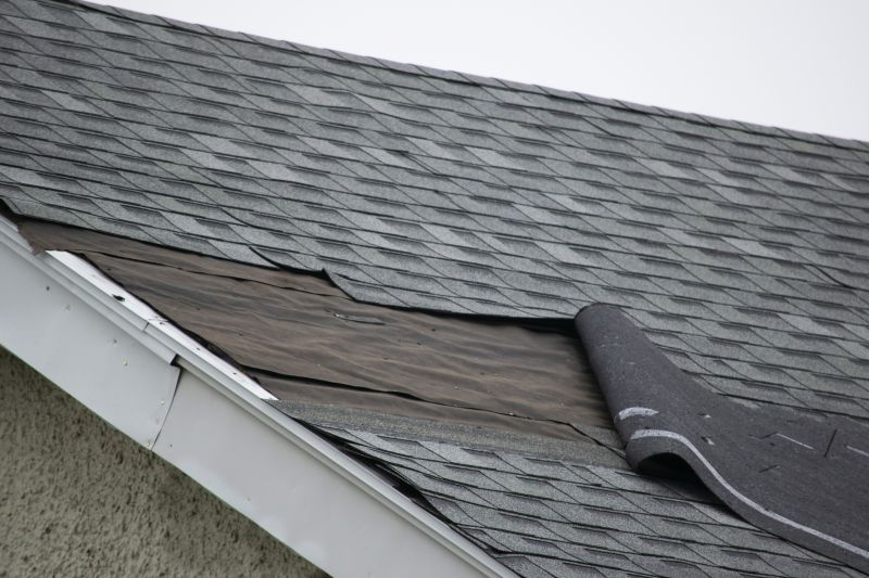 Asphalt Roof Repair Image 1