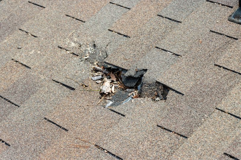 Fiberglass Shingles Repair
